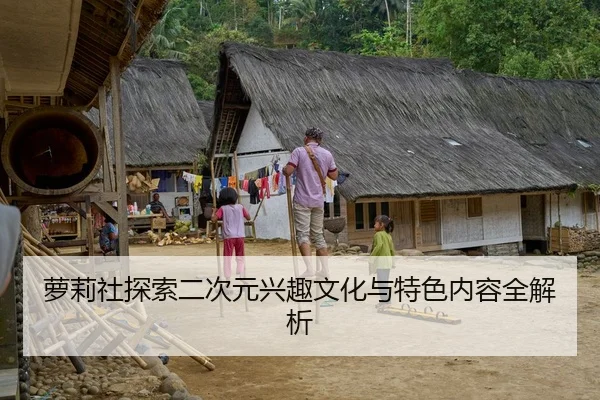 萝莉社探索二次元兴趣文化与特色内容全解析